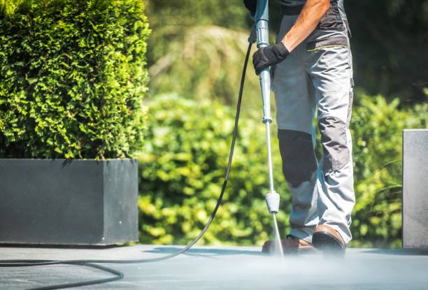 Best Paint Preparation  in Warren, IN